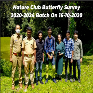 Butterfly Survey