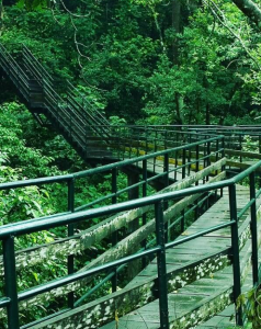 Read more about the article Thenmala 3 Days Workshop (27 – 29 Sept 2024)