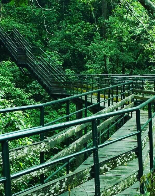 You are currently viewing Thenmala 3 Days Workshop (27 – 29 Sept 2024)