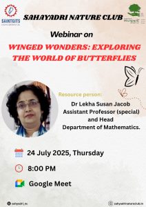 Read more about the article WINGED WONDER :EXPLORING THE WORLD OF BUTTERFLY