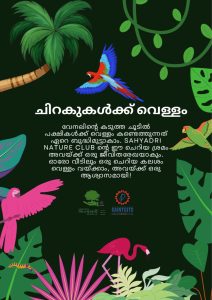 Read more about the article BIRD BATH (23-27)